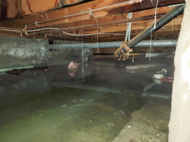 Best Flooded house restoration  in Meadow Lake, NM
