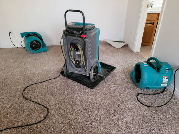 Best Water damage contractors near me  in Meadow Lake, NM