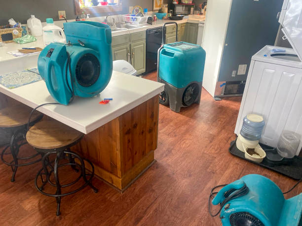 Best Commercial water damage restoration  in Meadow Lake, NM