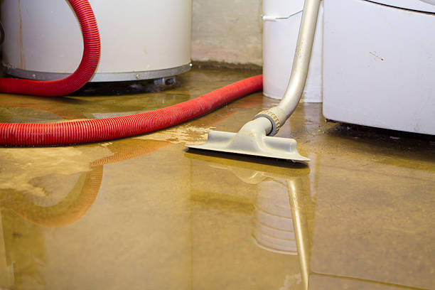 Best Local water damage restoration  in Meadow Lake, NM