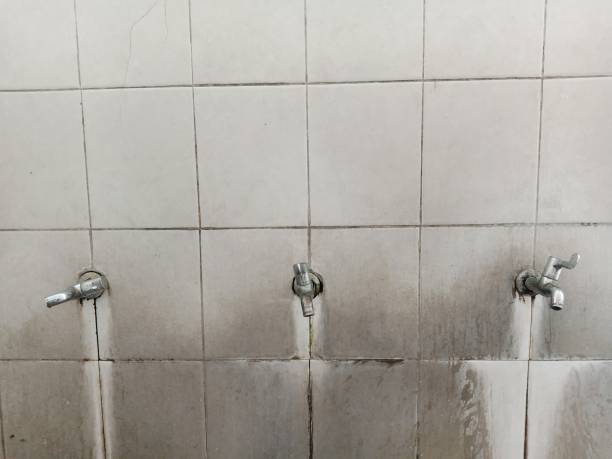 Best Mold removal after water damage  in Meadow Lake, NM