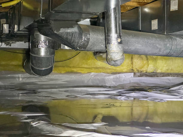 Best Carpet water damage restoration  in Meadow Lake, NM